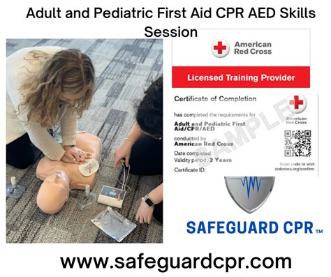 Adult And Pediatric First Aid Cpr Aed Skills Session Safeguard Cpr