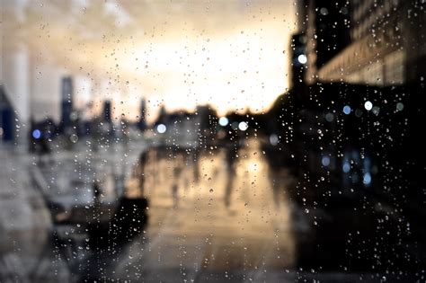 Free Images : light, night, sunlight, morning, rain, reflection ...