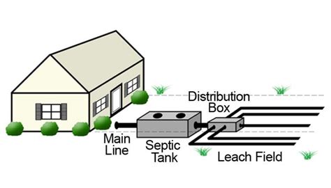 What Are Leach Lines And When Should They Be Replaced