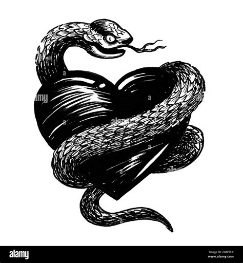 Human Heart And Poisonous Snake Ink Black And White Drawing Stock