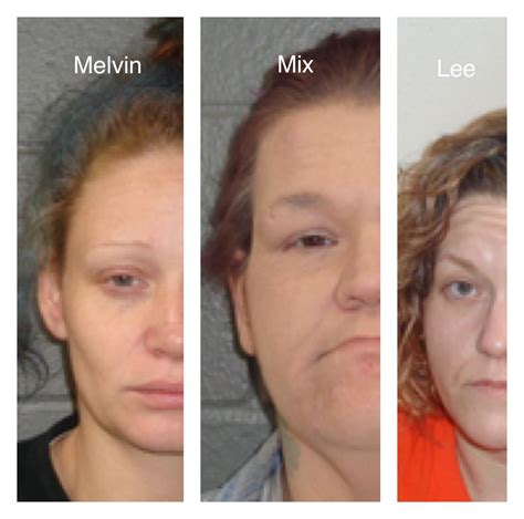 Three Women Face Multiple Felony Charges In Izard County