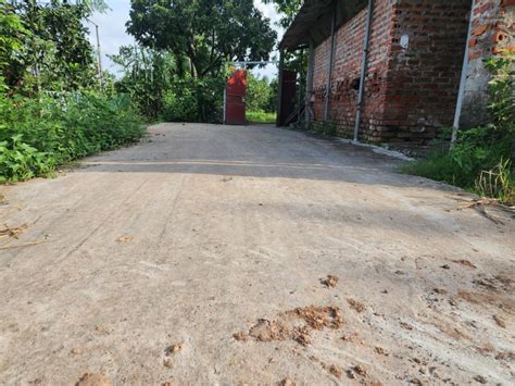 ban dat tai phuc hoa phuc tho ha noi  trieu   chi voi uy tin