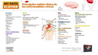 Analisis Microbiano En La Industria Farmaceutica Pptx