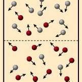 1: The diffusion process | Download Scientific Diagram