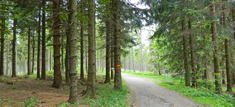 nyugat dunantul tanoesvenyek irany  termeszet