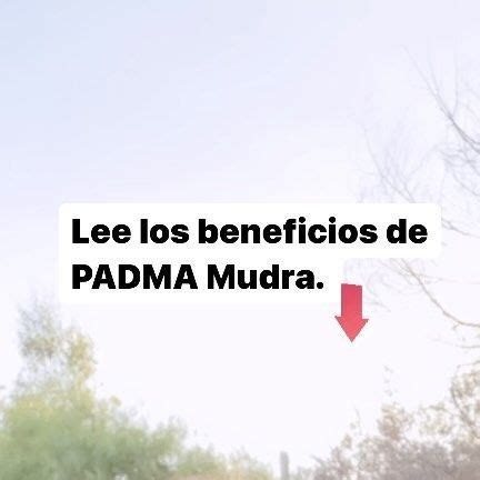 Lulu Sommaruga On Instagram MUDRA DEL LOTO O PADMA MUDRA Los