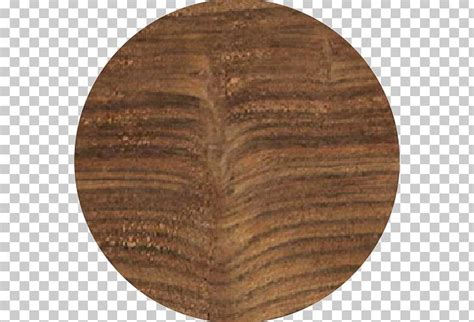 Wood Stain M Vt Png Clipart Brown M Vt Nature Parota Wood