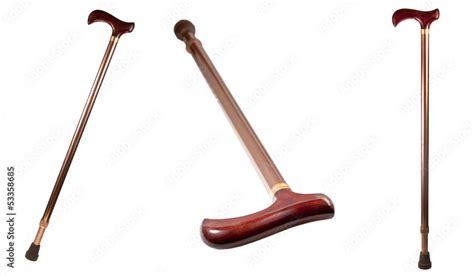 walking stick stock photo adobe stock