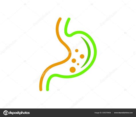 Stomach Vector Illustration Design Template Stock Vector Image by ©PantherMediaSeller #505379408