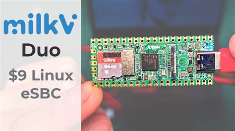 Testing Out The Milk V Duo The New 9 RISC V ESBC That Runs Linux