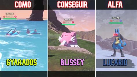 Donde Encontrar Lucario Blissey Gyarados Alfas En Leyendas Pokemon