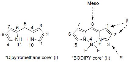 Functionalized Boron Dipyrromethenes And Their Applications Roc