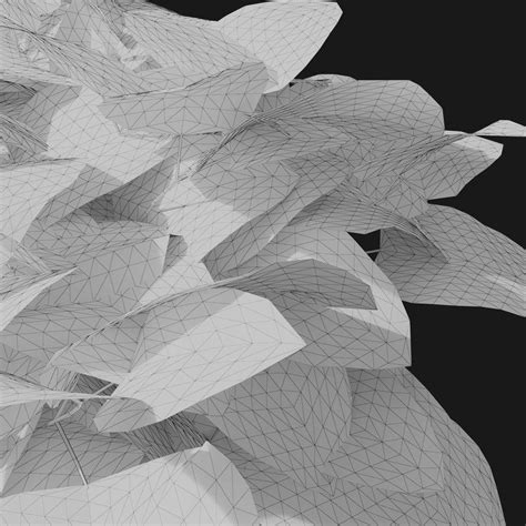 Wild Hydrangea (v3) – VIZPLANTS