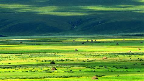 Hulunbuir Grasslands : r/FrutigerAero