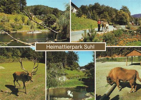 Ddr Ak Suhl Heimattierpark Uwe D Rnbrack Flickr