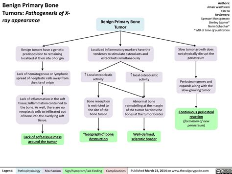 Benign Primary Bone Tumors: Pathogenesis of X-ray appearance | Calgary Guide