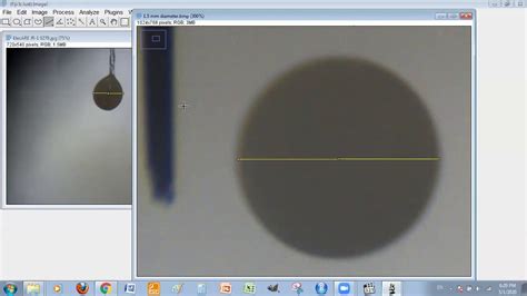 Imagej Analysis Measuring The Diameter Length And Area Of Multiple