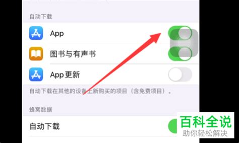 如何在ipad和iphone中关闭软件同步功能 【百科全说】