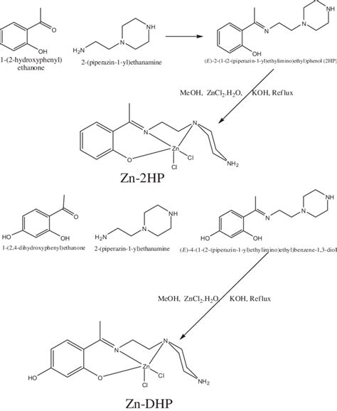 Scheme 1 Synthetic Pathway For The Complexes Zn2HP And ZnDHP