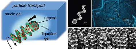 The State Of Nanorobotics In Medicine IEEE Pulse