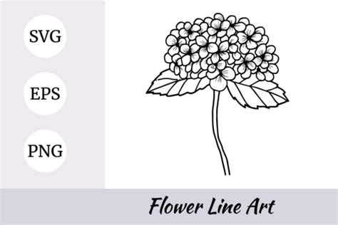 Hydrangea Flower Lineart Illustration Graphic By Nurdesign99 · Creative