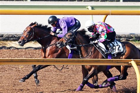 【菊花賞・1週前追い切り】神戸新聞杯覇者サトノグランツは3頭併せで豪快にラスト11・1秒 友道調教師「前走後もダメージなくきているのは良かった