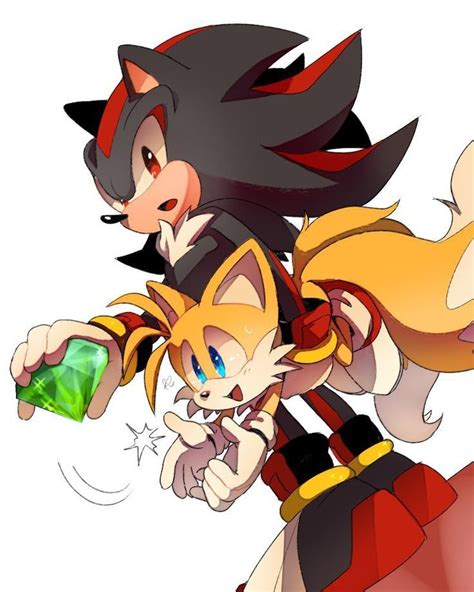 Pin By On S Hedgehog Art Sonic