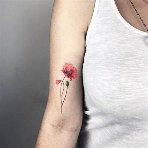 60 Beautiful Poppy Tattoo Designs for Women