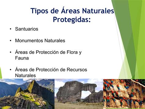 COMO CUIDAR LAS ÁREAS NATURALES PROTEGIDAS PPT