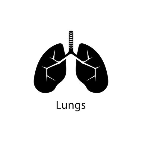 Premium Vector Lungs Icon