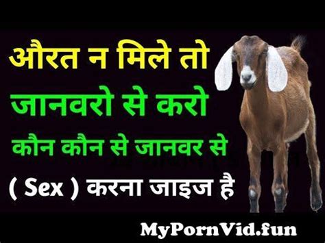 Xxx Video Hd Movie Bidesi Jaanwr Sex Pictures Pass