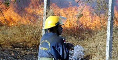 Cuerpo de Bomberos atiende cada día 15 incendios forestales Diario