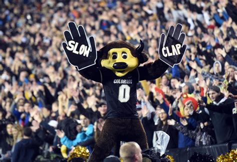 Colorado Buffaloes mascot Chip wrecked by T-shirt cannon misfire – The ...