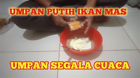 UMPAN PUTIH IKAN MAS Umpan Segala Cuaca YouTube