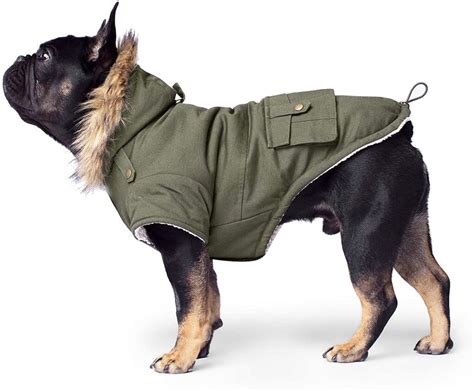 The Coziest Winter Dog Coats Our Top Picks For 2023 Pumpkin®