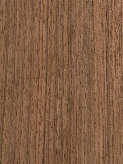 Walnut European Wood Veneer Dooge Veneers