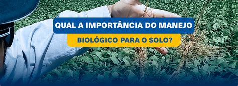 Qual a importância do Manejo biológico para o solo