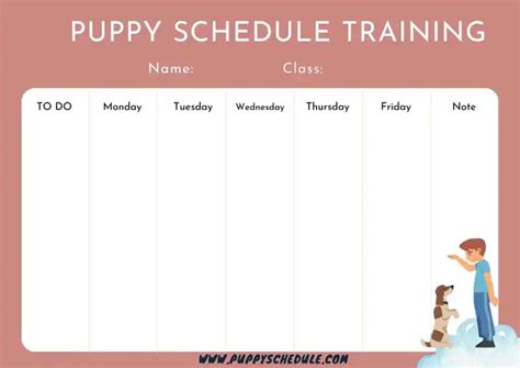 How to Create a Perfect Puppy Training Schedule Template: A Step-by-Step Guide - puppy schedule