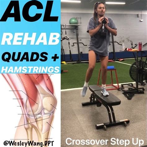 Dr Wesley Wang Pt Dpt On Instagram “acl Rehab Get Stronger —— Once The Foundatio Knee