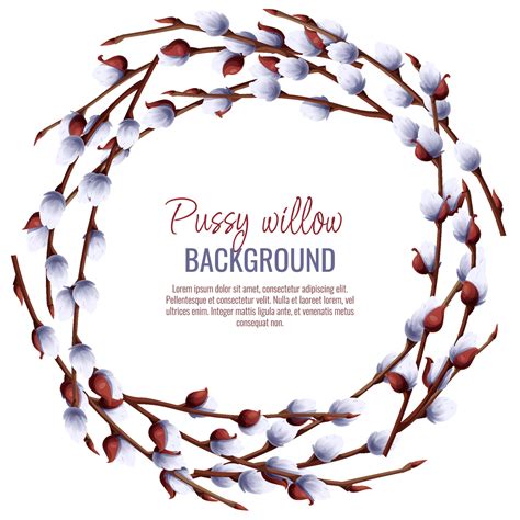 Spring Background With Pussy Willow Branches Postcard Banner For Easter Spring Time Frame