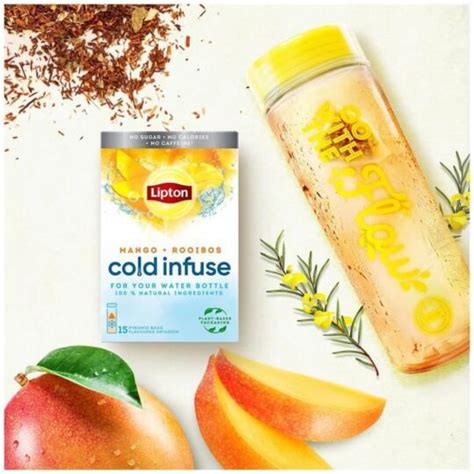 Lipton Coffret Infuse A Froid Gourde Boisson Go Ts La Bo Te