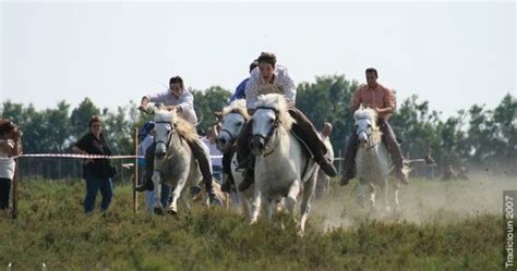 La Course De Satin Bouvine Et Traditions