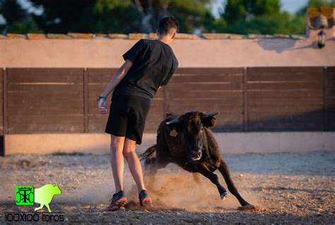 X Toros Capea En Finca Bellalucia