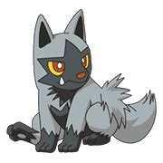 Poochyena | Pokémon Wiki | Fandom