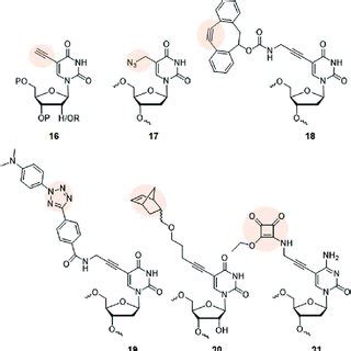 A Chemical Structures Of Base Modified Nucleoside Triphosphates Used