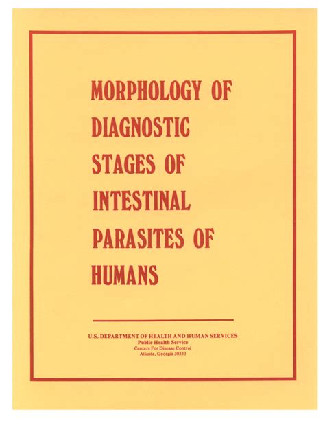 Morphology Of Diagnostic Stages Of Intestinal Parasites Of Humans Docslib