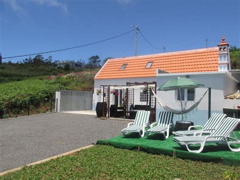 Casa Com Formiga Significado