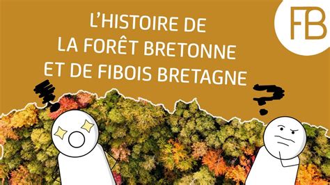 L Histoire De La For T Bretonne Et De Fibois Bretagne Youtube