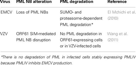 Emcv And Vzv Alter Pml Localization Andor Expression Download Table