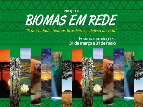 Projeto Biomas Em Rede Re Ne Escolas Salesianas Dos Biomas Brasileiros